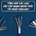 Tổng hợp các loại dây cáp mạng ngoài tốt nhất hiện nay